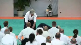 Aikido - Yamada - Lesneven 2011 (3)