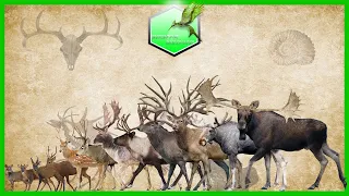 Deer Size Comparison [LİVİNG EXTİNCT]
