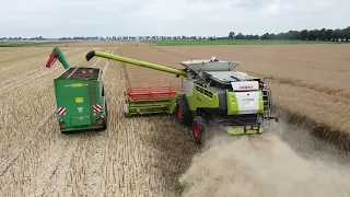 Żniwa POLHOZ Szymankowo 2022 - 3x Claas Lexion 770