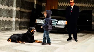 Мальчик без спроса забрал собаку у матёрого братка, а дальше пёс сделал то, чего он точно не ждал