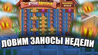 Купил бонус в DOG HOUSE MEGAWAYS поймал x400 И ВЫИГРАЛ  ЛОВИМ ЗАНОСЫ НЕДЕЛИ