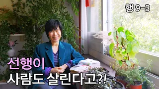 [행9-3: 선행이 사람도 살린다고?!] #기적의 역활 #복음을 전하는 구체적 방법