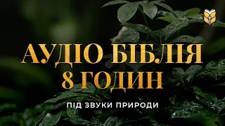 8 годин Біблії перед сном. Релакс під звуки природи | Сучасний переклад українською мовою