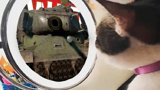 War Thunder Сталинские приколы и мемы