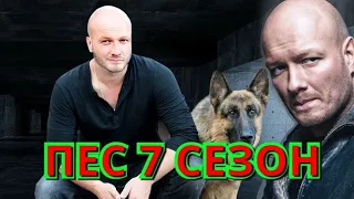 ПЁС-7 съёмки новых серий