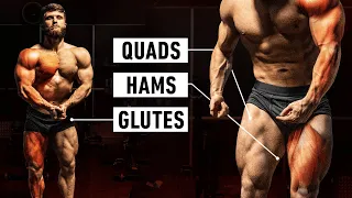 The Most Effective Full Body Workout: Leg Focused