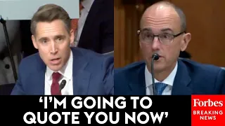 'It's Outrageous': Josh Hawley Grills McKinsey Executive About Their Work With China And The US DOD