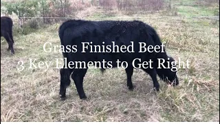 Grass Fed/Grass Finished Beef:  3 Key elements to get right