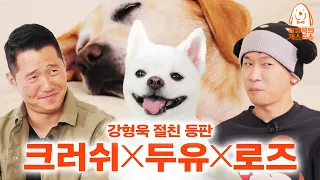 We told Crush to brag about his dogs but he tried to trick us [Kang Hyeonguk's dog guest show] EP.3