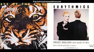 Survivor VS Eurythmics - Tiger Dreams (Mashup)