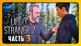 СЛУЧАЙ НА ЗАПРАВКЕ ✅ LIFE IS STRANGE 2 (Episode 1) Прохождение #3