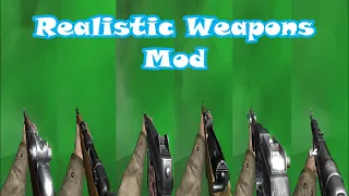 Call of Duty 2 - Realistic Weapons Mod