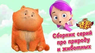 Ангел Бэби - Сборник серий про природу и животных | Развивающий мультфильм для детей