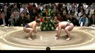 Sumo. March 2018, Georgian Tochinoshin defeated Yokodzuna Kakuryu Day 12