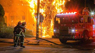 *Pre-Arrival* LAFD Working Multiple Tree Fires with Extension into Residential Building (Hollywood)