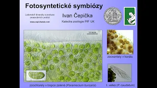 Pokroky v biologii 2024 (5.1) Ivan Čepička: Fotosyntetické symbiózy (PřF UK 9.3.2024)