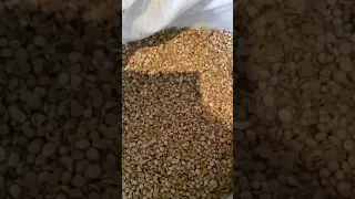 соя відход від насіння ВС 00. 6500 грн за тону