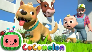 Bingo + More Nursery Rhymes & Kids Songs - Cocomo Studio