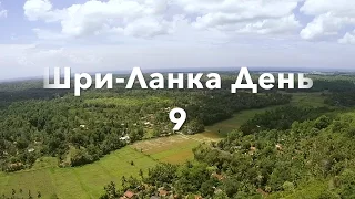 Шри-Ланка день 9. Чайная плантация. Штраф за езду. Квадрокоптер