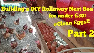 How to Build the BEST DIY ROLL AWAY CHICKEN NEST BOX for under £30! Part 2