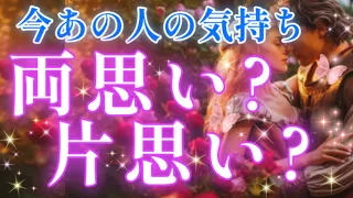 今どっち?🧐🤔あの人とあなた両思い?片思い?あの人の気持ち🌈💌🕊️タロット&オラクル恋愛鑑定🩷🩵見た時がタイミング