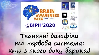 Тканинні базофіли та нервова система: хто з якого боку барикад (BAW in Ukraine 2020)