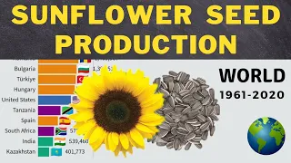 SUNFLOWER SEED Production In The World by Country | 1961-2020
