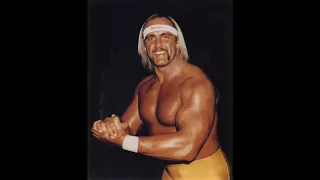 WWE Hulk Hogan 2nd Theme (Hogan's Theme)