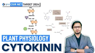 Cytokinin | Plant Physiology | CSIR NET JUNE 2024 I IFAS