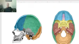 Anatomy of head and neck module in Arabic 10 (Cranial cavity, middle cranial fossa) , by Dr. Wahdan