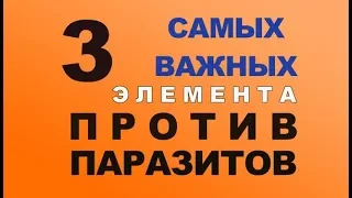 ТРИ САМЫХ ВАЖНЫХ ЭЛЕМЕНТА ПРОТИВ ПАРАЗИТОВ!