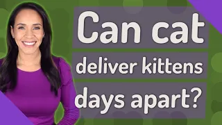 Can cat deliver kittens days apart?