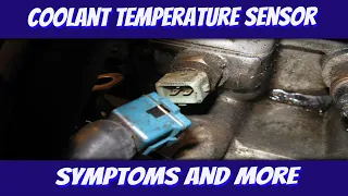 Engine Coolant Temperature Sensor (ECT Symptoms, How it Works, Replacement and More)