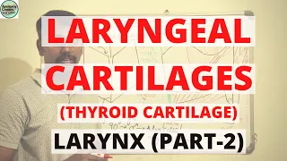 LARYNGEAL CARTILAGES - 1 (LARYNX - PART 2)