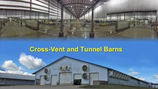 A breath of fresh air – ventilating barns