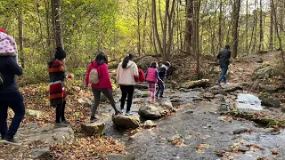 Fall Foliage At Shenandoah