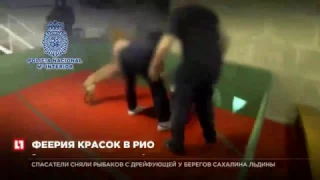 Полиция Испании освободила 230 собак из подпольного бойцовского клуба