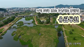 [드론여행] #대전 도심을 흐르는 갑천변의 #휴식 #공간 #유림공원 (EVO2 Pro & avata)