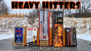 Heavy & Fast .22LR Ballistic Gel Test - HEAVY Hyper Velocity