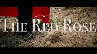 The Red Rose - A Superchild Film by Phillip Seay - Set to the music by Hans Zimmer and Junkie XL