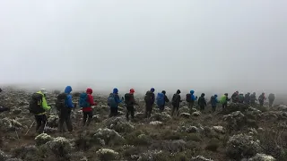 Kilimanjaro trekking October 2019