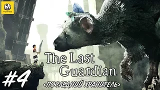 The Last Guardian | Последний Хранитель – Часть 4 (прохождение на русском без комментариев) [PS4]