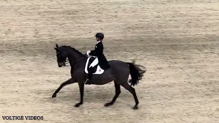 FEI Dressage World Cup Basel 2024 - Freestyle - Jessica von Bredow-Werndl - TSF Dalera BB