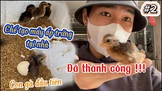 Sau 10 Ngày Ấp Cuối Cùng Những Quả Trứng Cũng Bắt Đầu Nở - Chế Tạo Máy Ấp Trứng Tại Nhà Phần 2