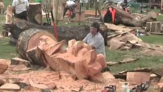 Barbara & Alan record Chainsaw Wood Sculptures at Woodfest Wales