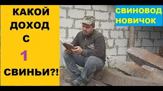 Какой доход, с откорма одной Свиньи?! (сентябрь 2021) Бизнес на свиньях. Свиноводство. Украина.