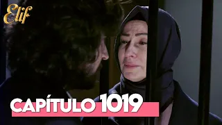 Elif Quinta Temporada Capítulo 1019 | Elif Capítulo 1019