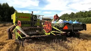 Żniwa na małym areale. |CLAAS Compact 25| FPV | 2023