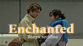 Naoya & Sae ▸ (Pending Train)  -‘๑’-  Enchanted