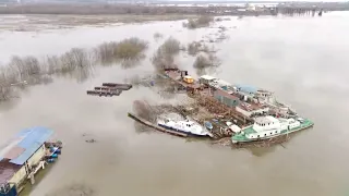 Весенний паводок река Ока, Серпухов